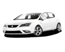 SEAT Ibiza IV (4) (2008-2017) на розбиранні в Україні запчастини